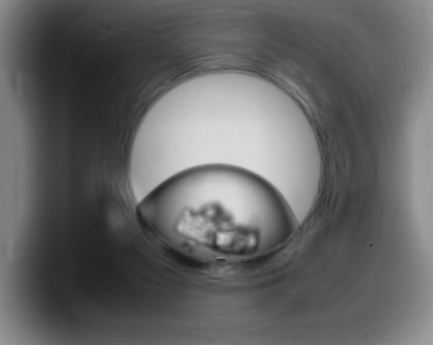 X0000099460117200805090755