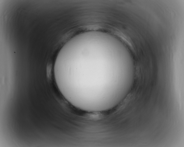 X0000099460118200805090755