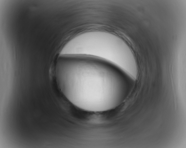 X0000099460119200805090755