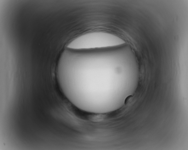 X0000099460122200805090755