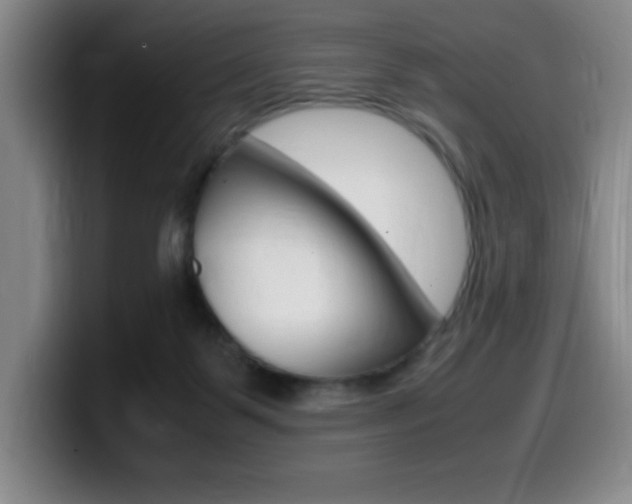 X0000099460123200805090755