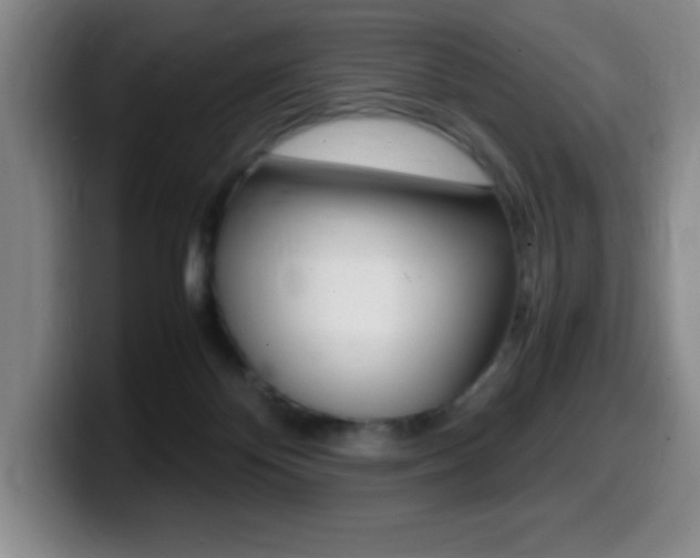 X0000099460124200805090755