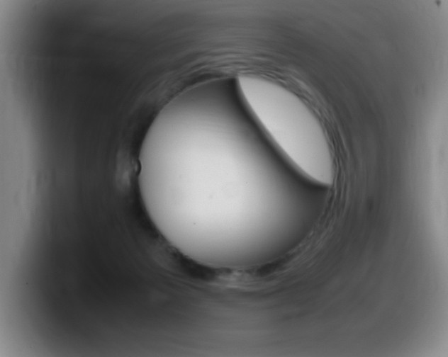 X0000099460125200805090755