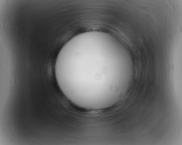 X0000099460126200805090755