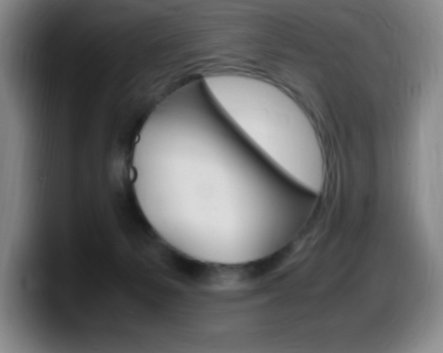X0000099460127200805090755