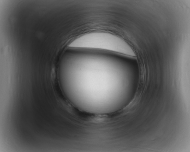 X0000099460128200805090755