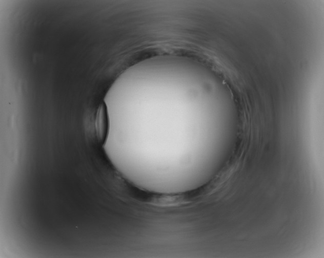 X0000099460129200805090755