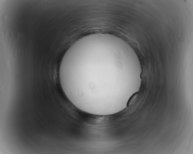 X0000099460130200805090755