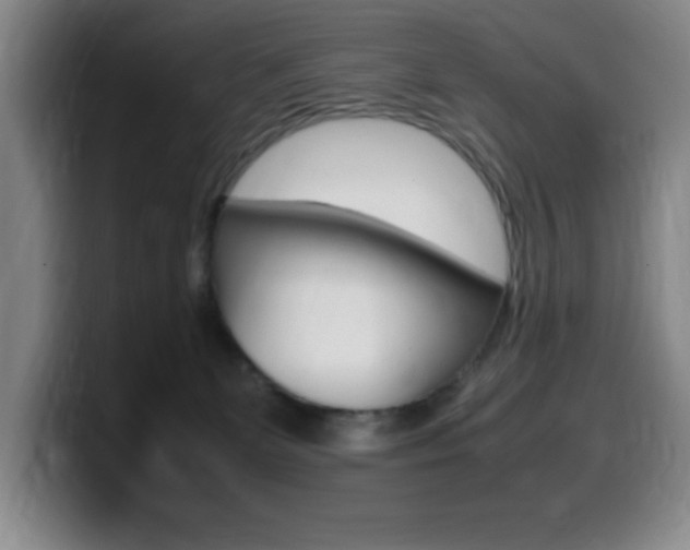 X0000099460131200805090755