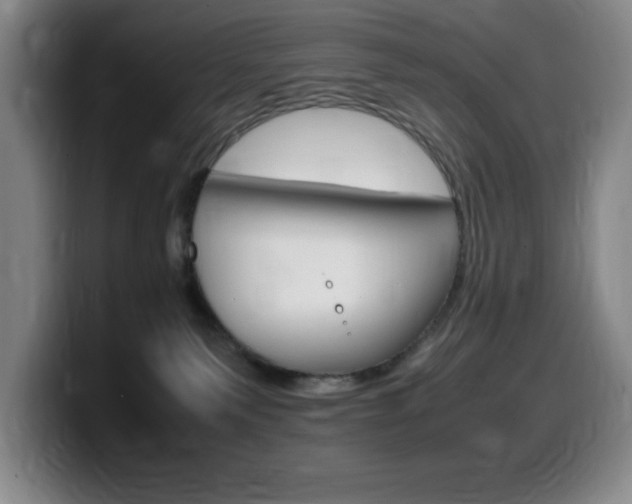 X0000099460135200805090755