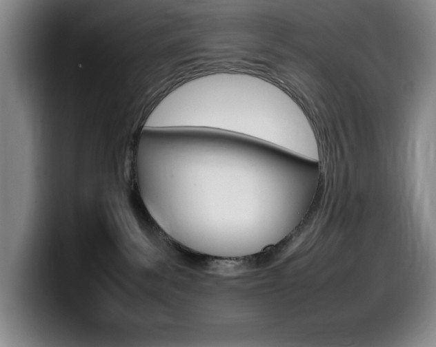 X0000099460139200805090755