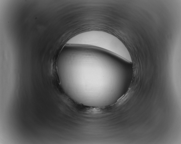 X0000099460140200805090755