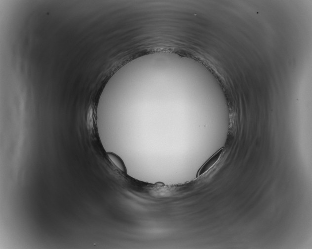 X0000099460142200805090755