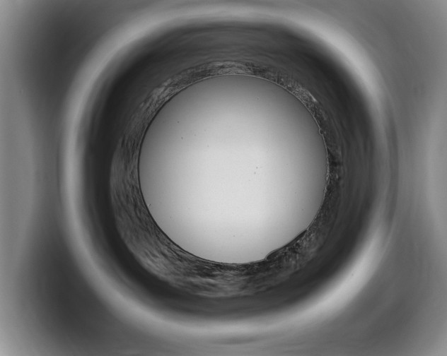 X0000099460143200805090755