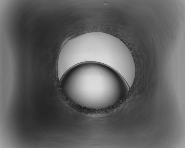 X0000099460144200805090755