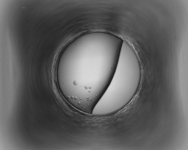 X0000099460145200805090754