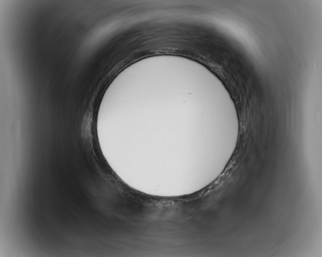 X0000099460146200805090754