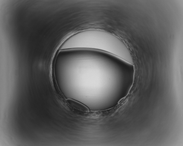 X0000099460148200805090754