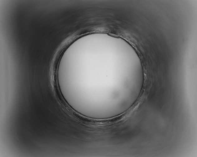 X0000099460149200805090754