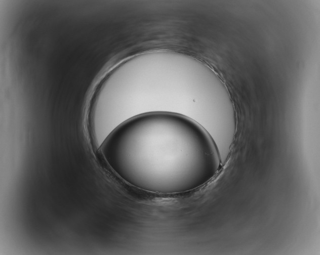 X0000099460150200805090754