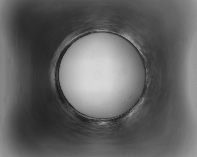 X0000099460151200805090754