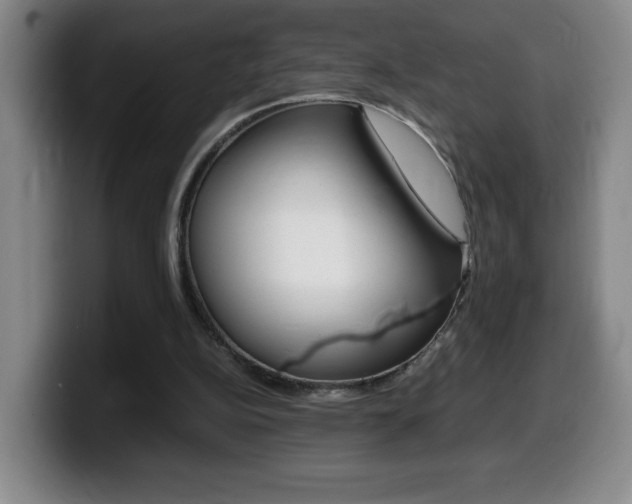 X0000099460152200805090754