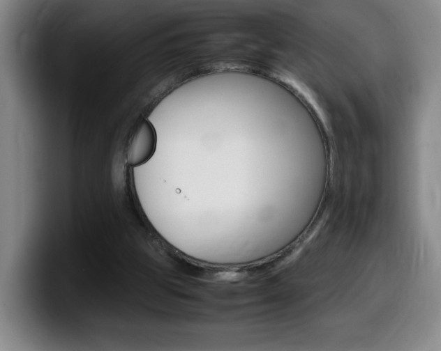 X0000099460153200805090754