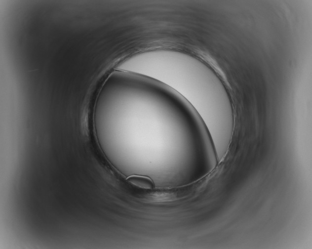 X0000099460154200805090754