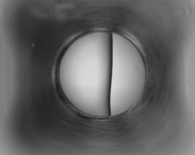 X0000099460155200805090754