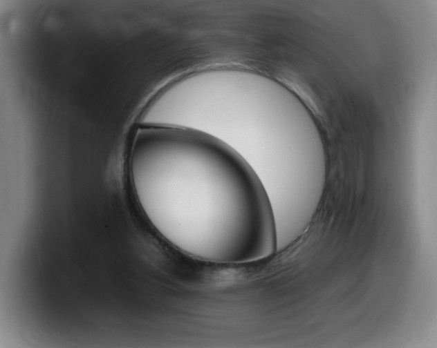 X0000099460156200805090754