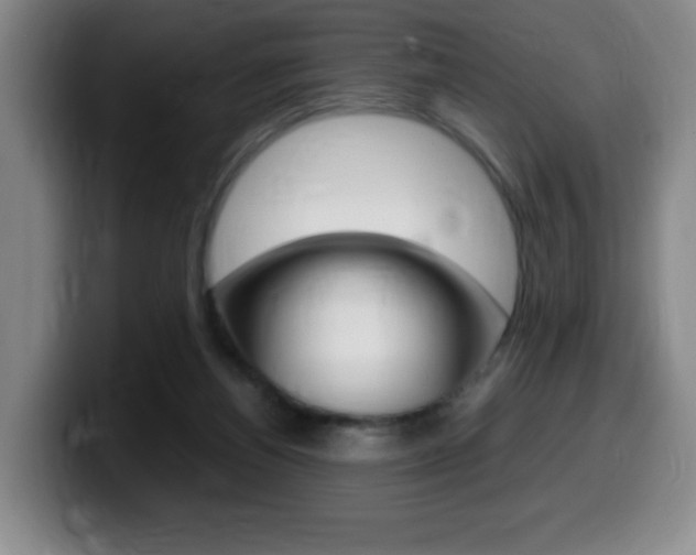 X0000099460164200805090754