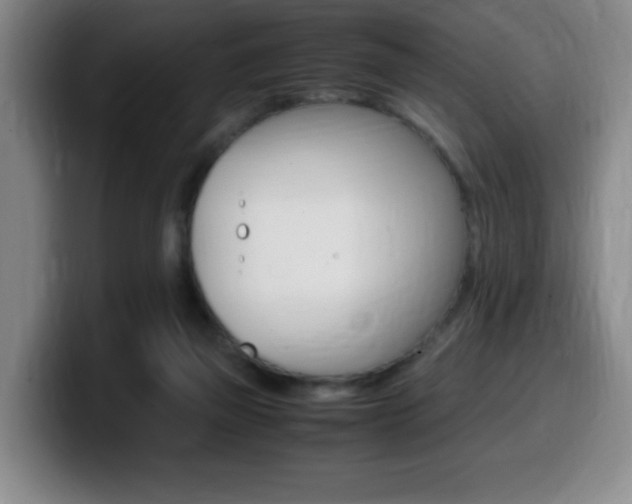 X0000099460165200805090754