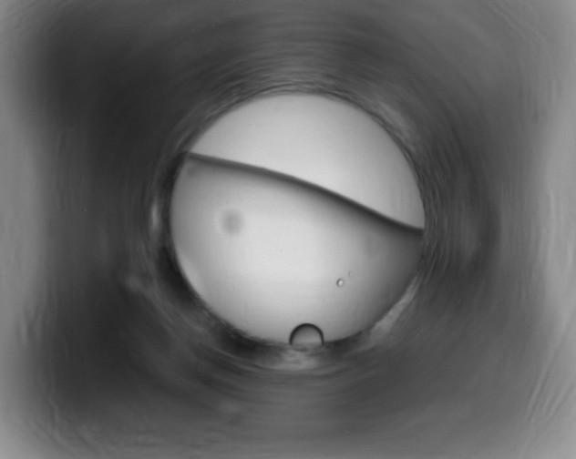 X0000099460166200805090754