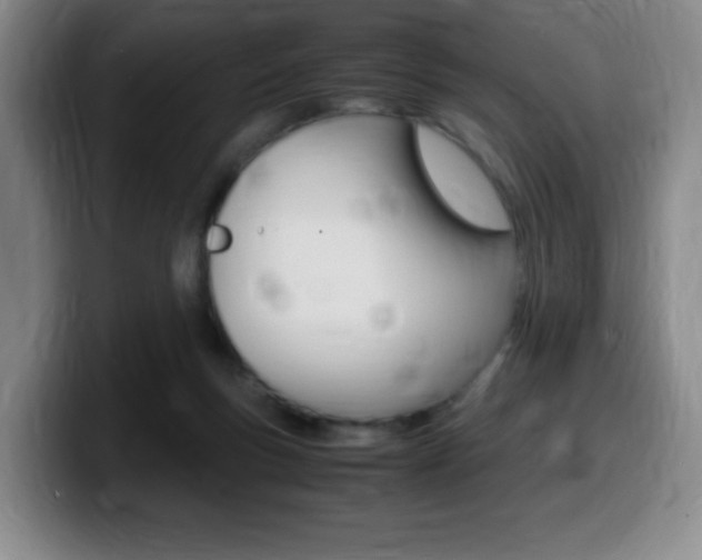 X0000099460167200805090754