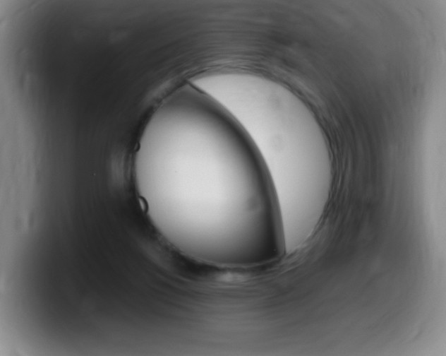 X0000099460168200805090754