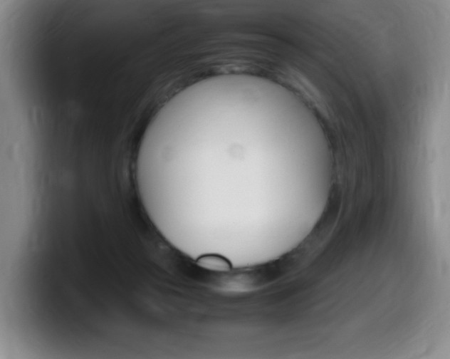 X0000099460169200805090754