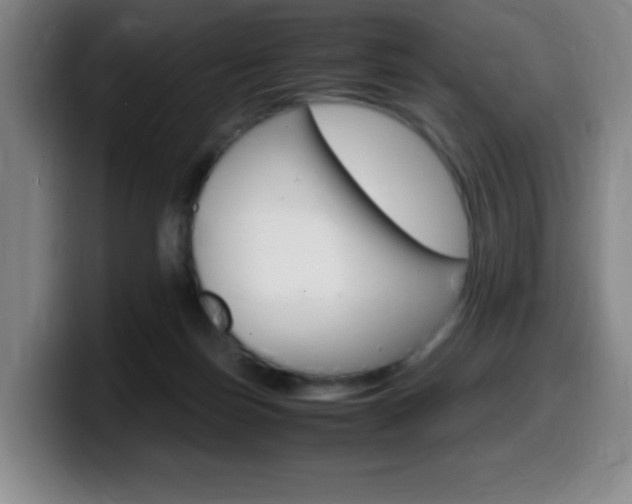 X0000099460171200805090754