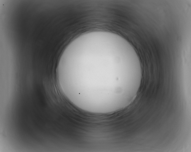 X0000099460172200805090754