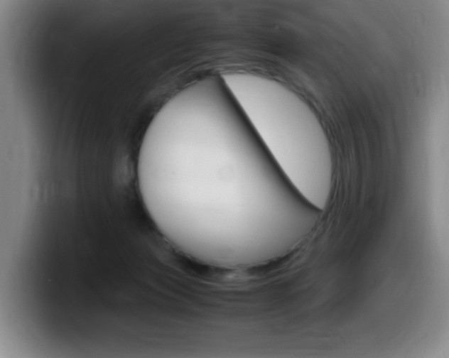 X0000099460173200805090754