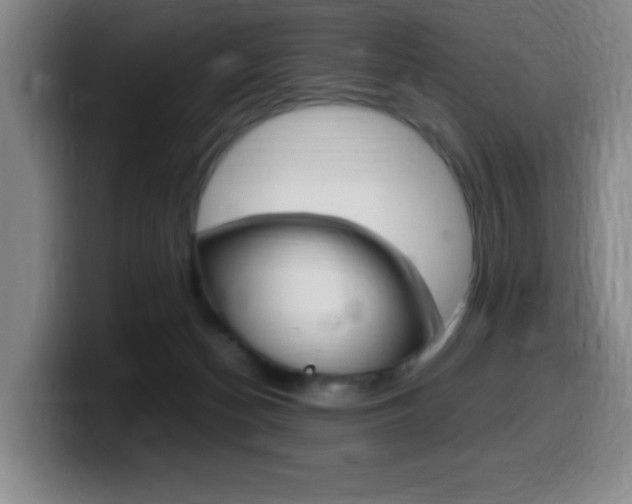 X0000099460174200805090754