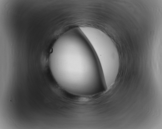 X0000099460176200805090754