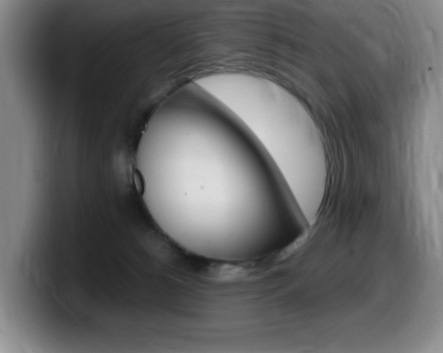 X0000099460180200805090754