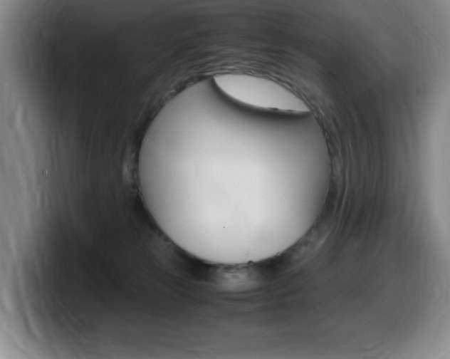 X0000099460181200805090754