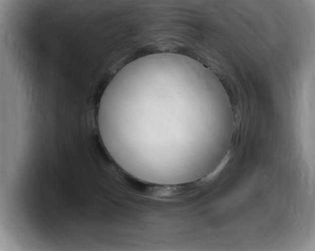 X0000099460182200805090754