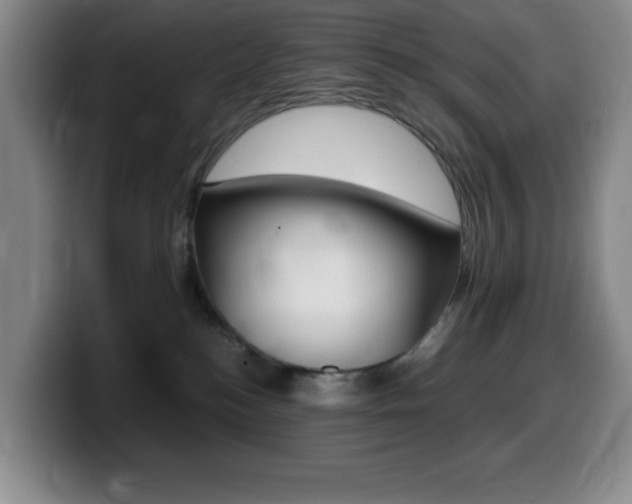 X0000099460184200805090754