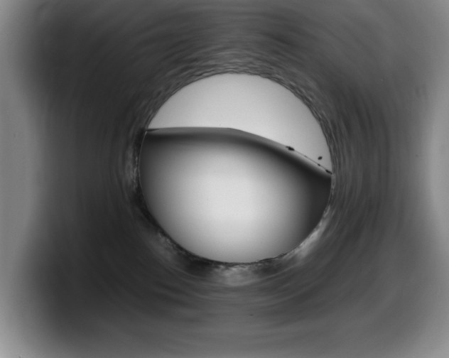 X0000099460186200805090755