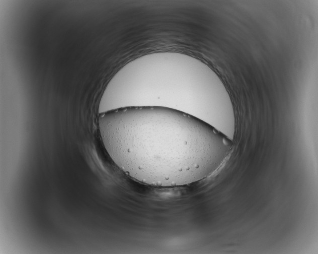 X0000099460187200805090755