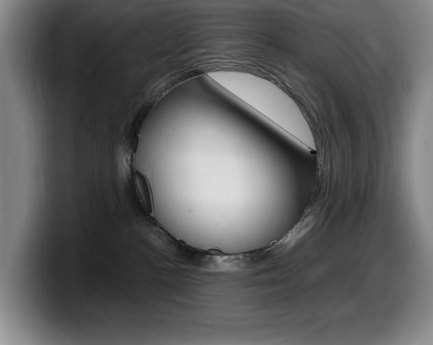 X0000099460188200805090755