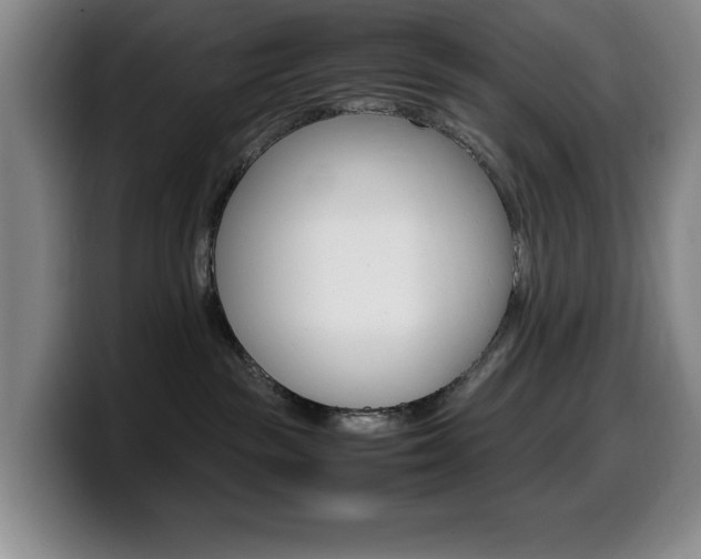 X0000099460189200805090755