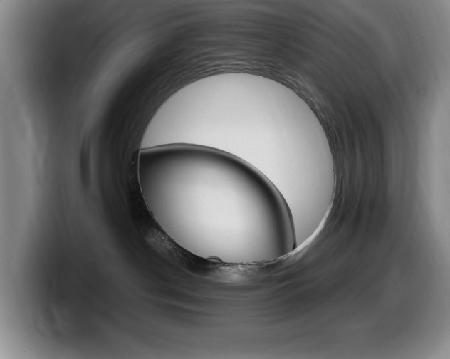 X0000099460190200805090755
